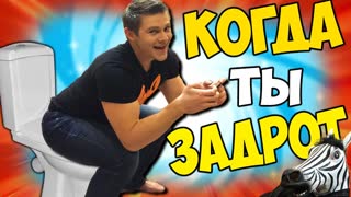 КОГДА ТЫ ЗАДРОТ -||- Order and Chaos 2