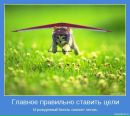 Фотография Хомченко Юрия