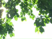 Фотография Кофинк Кати