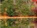 Андрій Тимчишин фотография #10 (источник - https://vk.com/id20835077)