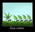 Фотография Кобзева Дмитрия