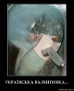 Андрій Бабій фотография #42 (источник - https://vk.com/id41813544)