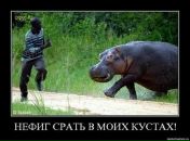 Сергій Шеремет фотография #50 (источник - https://vk.com/id7236265)