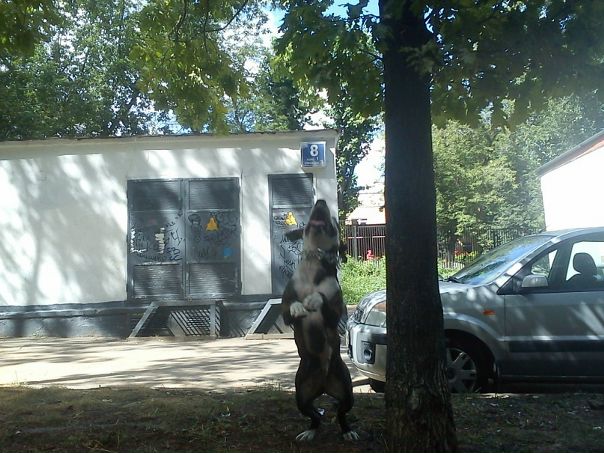 Дмитрий Дмитрий фото №12