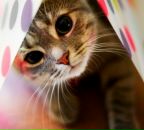 Фотография Файрушиной Милы