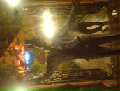 Саша Саїн фотография #32 (источник - https://vk.com/id112671038)