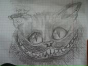 Фотография Комаровой Али