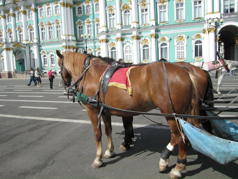 Вадим Горчаков фото №50