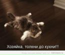 Ільгар Емінов фотография #9 (источник - https://vk.com/id87092153)