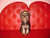 Фотография Андреевой Юлии