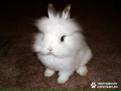 Фотография Палыч Инги