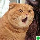 Фотография Пяточенко Дмитрия