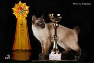 Фотография Шелениной Санечки