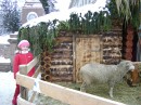 Машусік Буртник фотография #9 (источник - https://vk.com/id57246221)