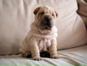 Юлія Еффрансе фотография #13 (источник - https://vk.com/id3311059)