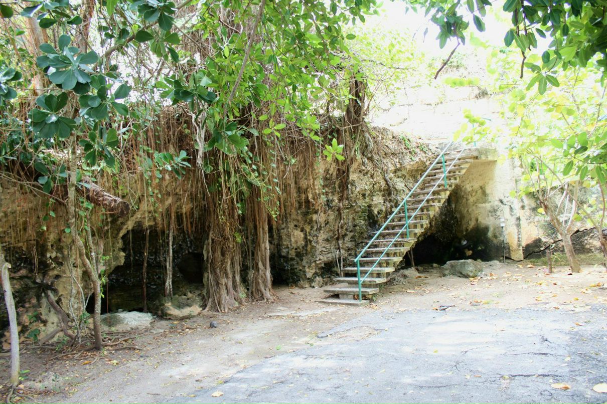 Александр Закатаев фотография #9