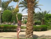 Фотография Федоровой Светланы