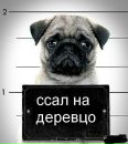 Ирина Олексеенко фотография #12 (источник - https://vk.com/id21115650)