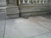 Анна Ильичева фотография #21 (источник - https://vk.com/id799001)