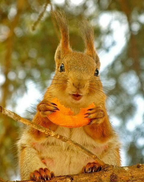 Aleksandr Orlov фото №35