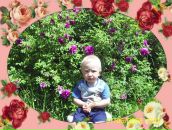 Віталік Нестерук фотография #2 (источник - https://vk.com/id170728010)