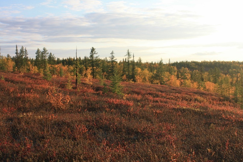 Сергей Маслов фотография #4