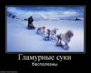 І.І. Терпак фотография #26 (источник - https://vk.com/id20886179)