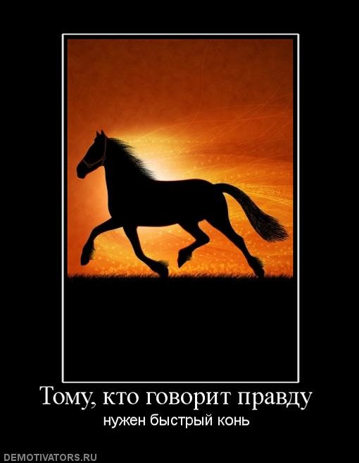 Сергей Петров фотография #6