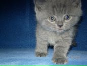 Фотография Д Эльвиры