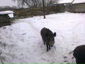 Андрій Дідак фотография #6 (источник - https://vk.com/id121784418)