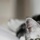 Наталія Олійник фотография #49 (источник - https://vk.com/id85387598)