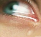 Инна Стась фотография #14 (источник - https://vk.com/id2295618)