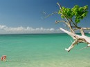 Μарина Κозлова фотография #2 (источник - https://vk.com/id36402406)