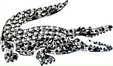 Фотография Потапова Николая