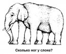 Андрій Семеног фотография #2 (источник - https://vk.com/id137038515)
