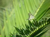 Фотография Яковлевой Алёны