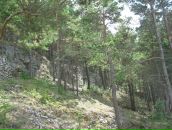 Teele Piik фотография #41 (источник - https://vk.com/id9423178)