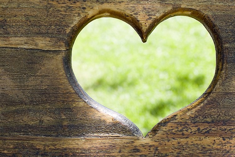 Лиля Ечина фотография #4