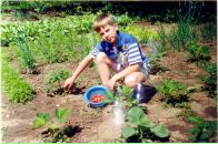 Фотография Дуплякина Максима