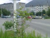 Фотография Романовой Галины