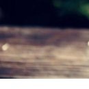 Оля Станіцька фотография #28 (источник - https://vk.com/id88519209)