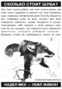Фотография Шеминой Дарьи