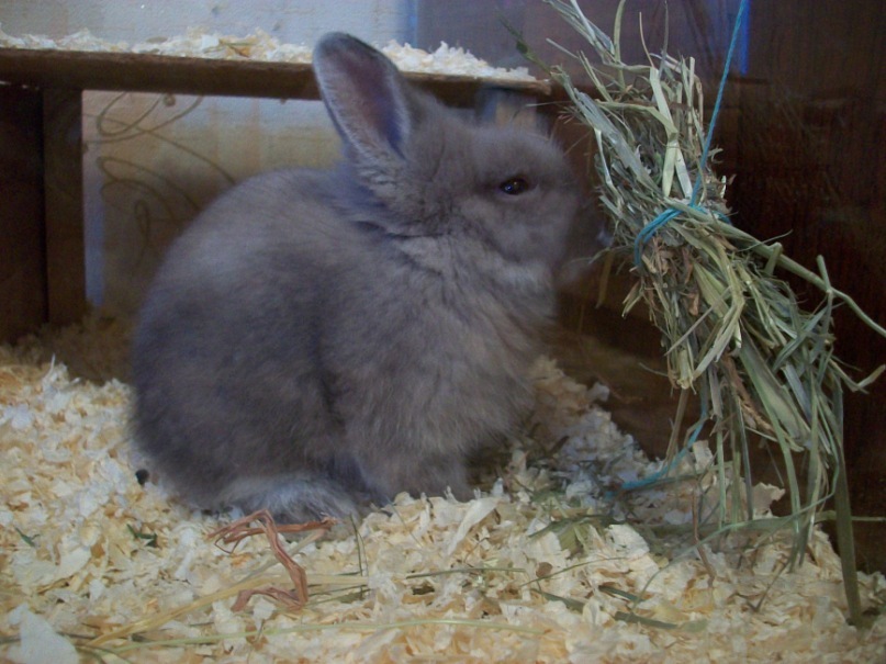 Елена Абрамова фотография #24