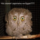 Зомбі Зомбі фотография #1