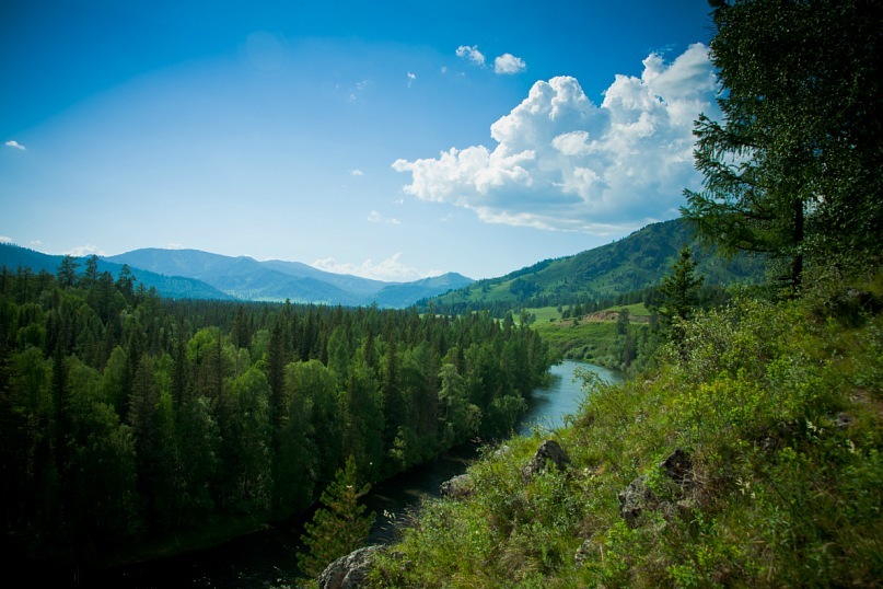 Сергей Шефер фотография #30