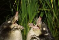 Фотография Бурениной Веры