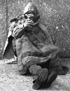 Homeless Natural фотография #9 (источник - https://vk.com/id156432223)