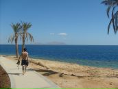 Фотография Дня Добрыя