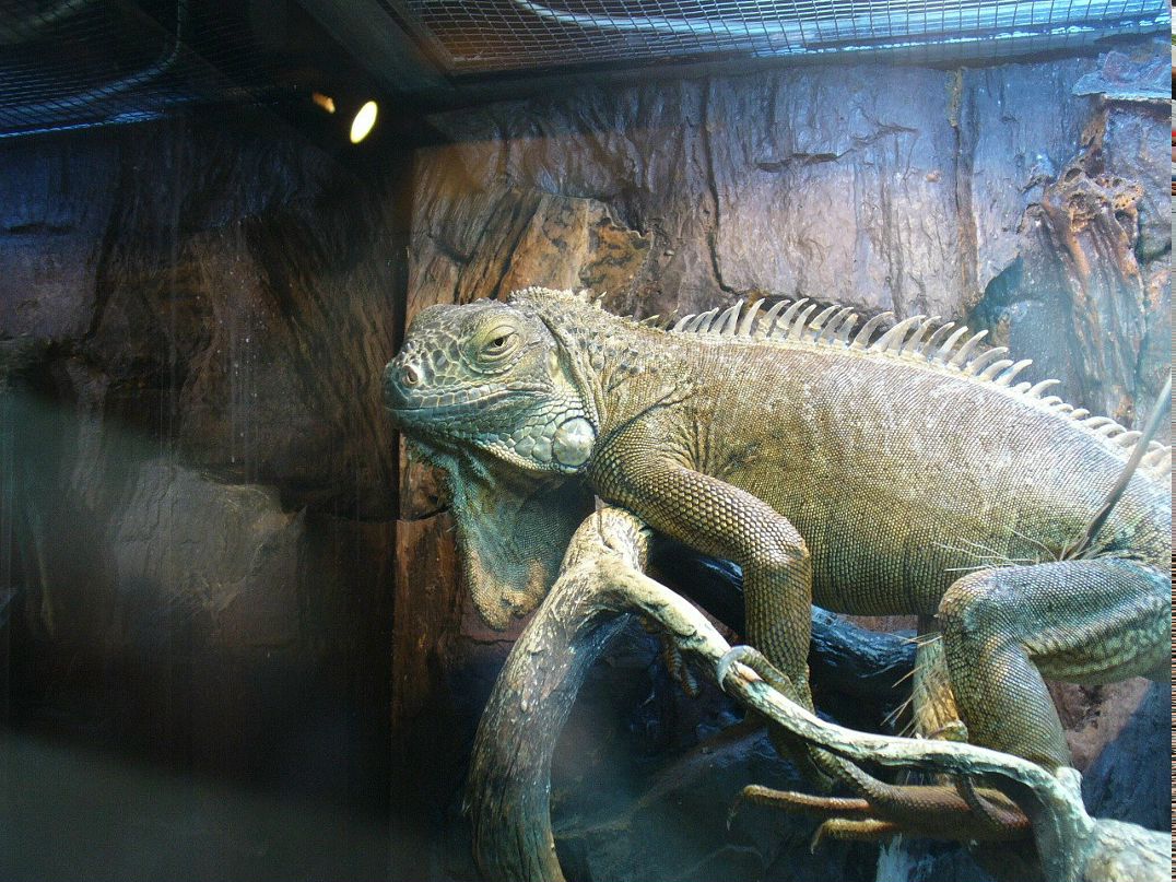 Антон Черкасов фотография #43