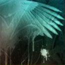 Вася Іваночко фотография #26 (источник - https://vk.com/id38606426)